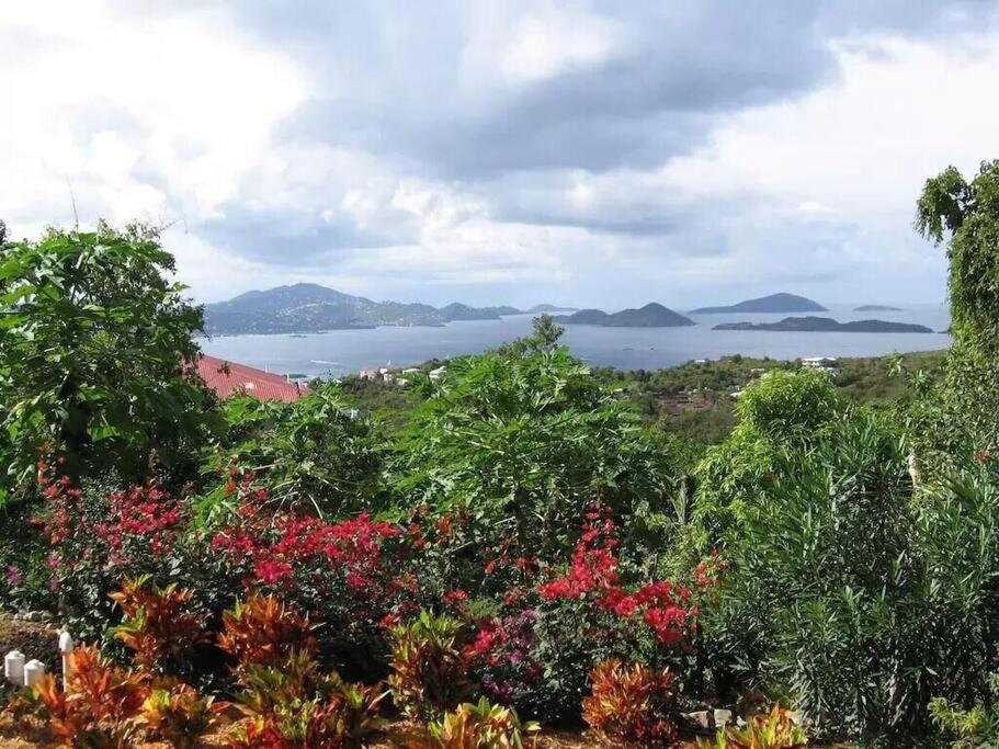 Cielo Vista Villa 3 Bdrm Sleeps 6 Heavenly View Cruz Bay Exteriér fotografie